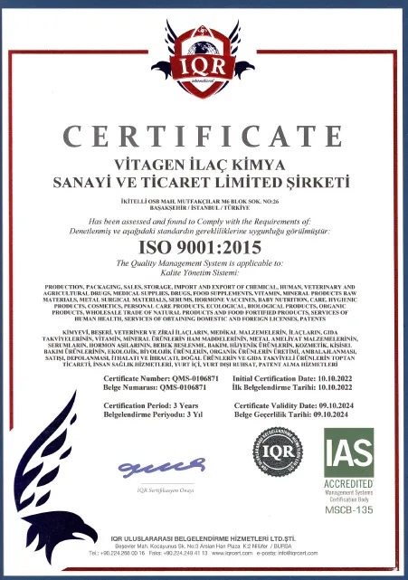 İSO 9001