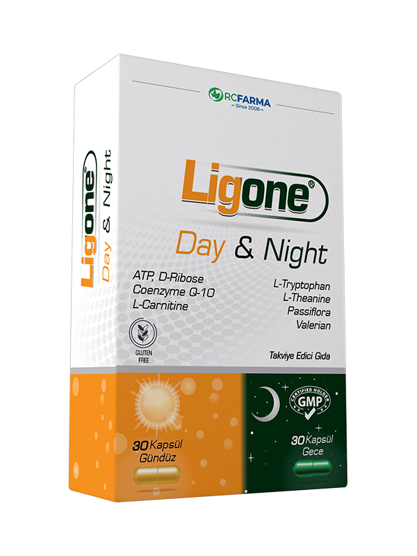 Ligone Day & Night 60 Kapsül